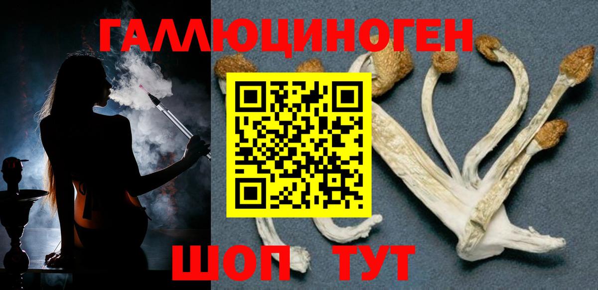 Хасавюрт  Галлюциногенные грибы Psilocybine cubensis  Вход с VPN 